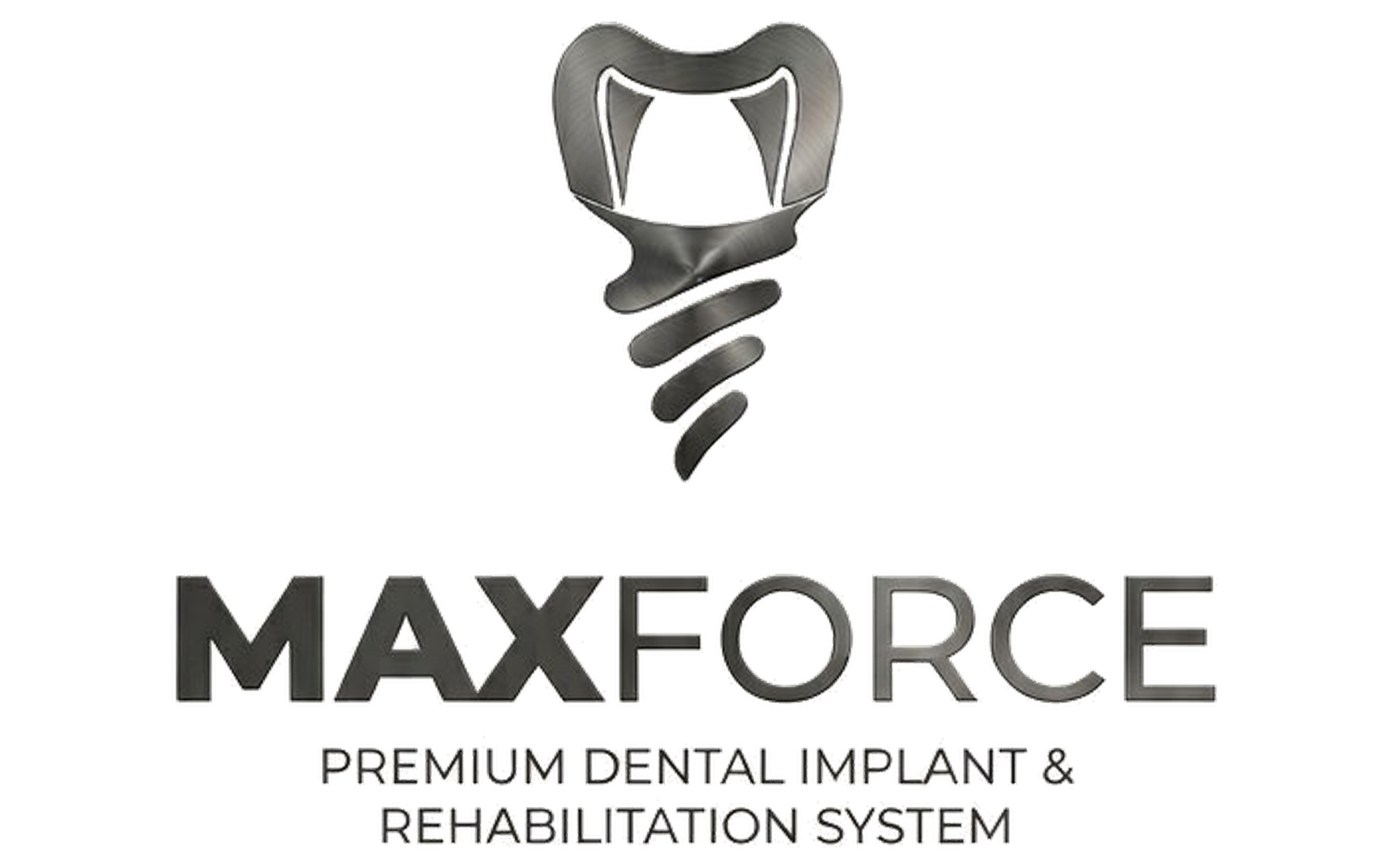 Logo Sistema MaxForce
